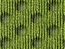 Green apple
